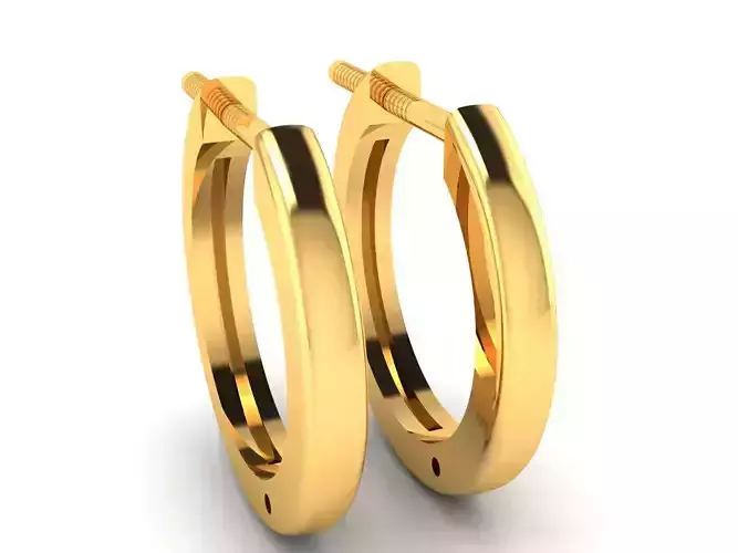 Earrings-4106 pair of gold hoop earrings