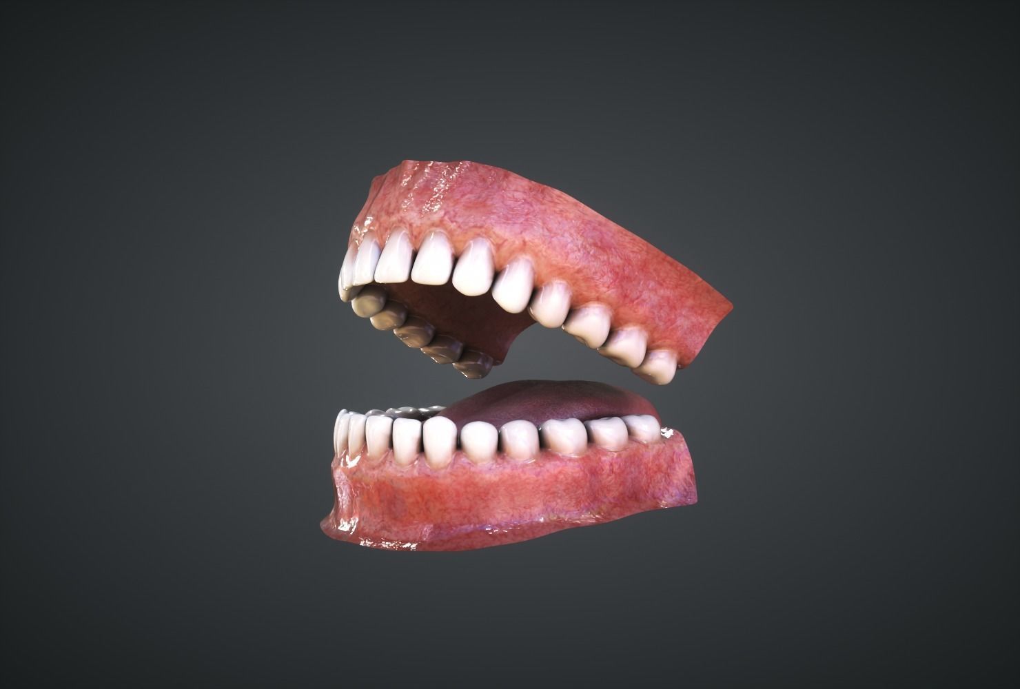 Teeth human mouth with missing Low-poly 3D model_1