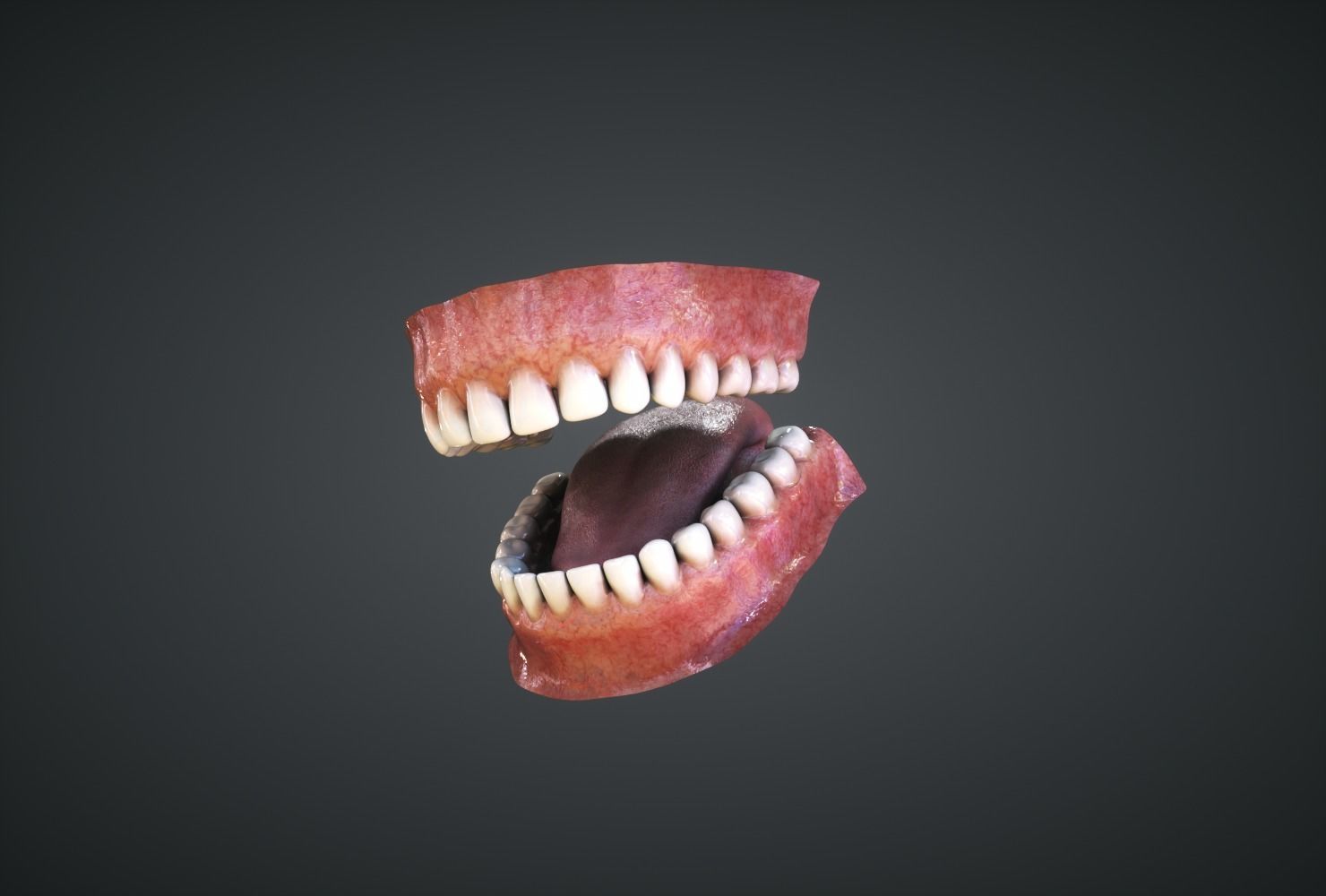 Teeth human mouth with missing Low-poly 3D model_3