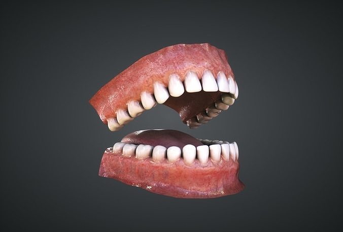 Teeth human mouth with missing Low-poly 3D model