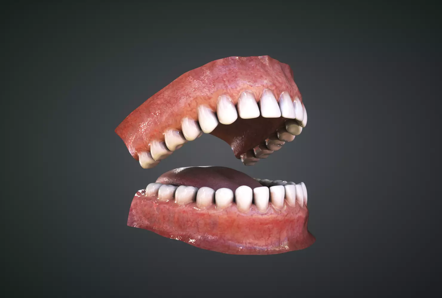 Teeth human mouth with missing Low-poly 3D model_0