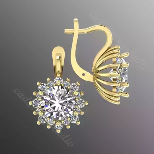 Earrings pl 14 3D