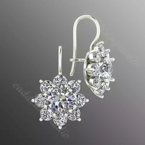 Earrings pl 15 