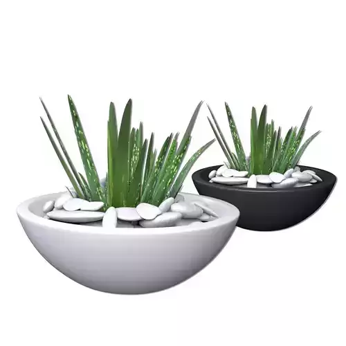Aloe Vera - Potted Plant 2 3D model