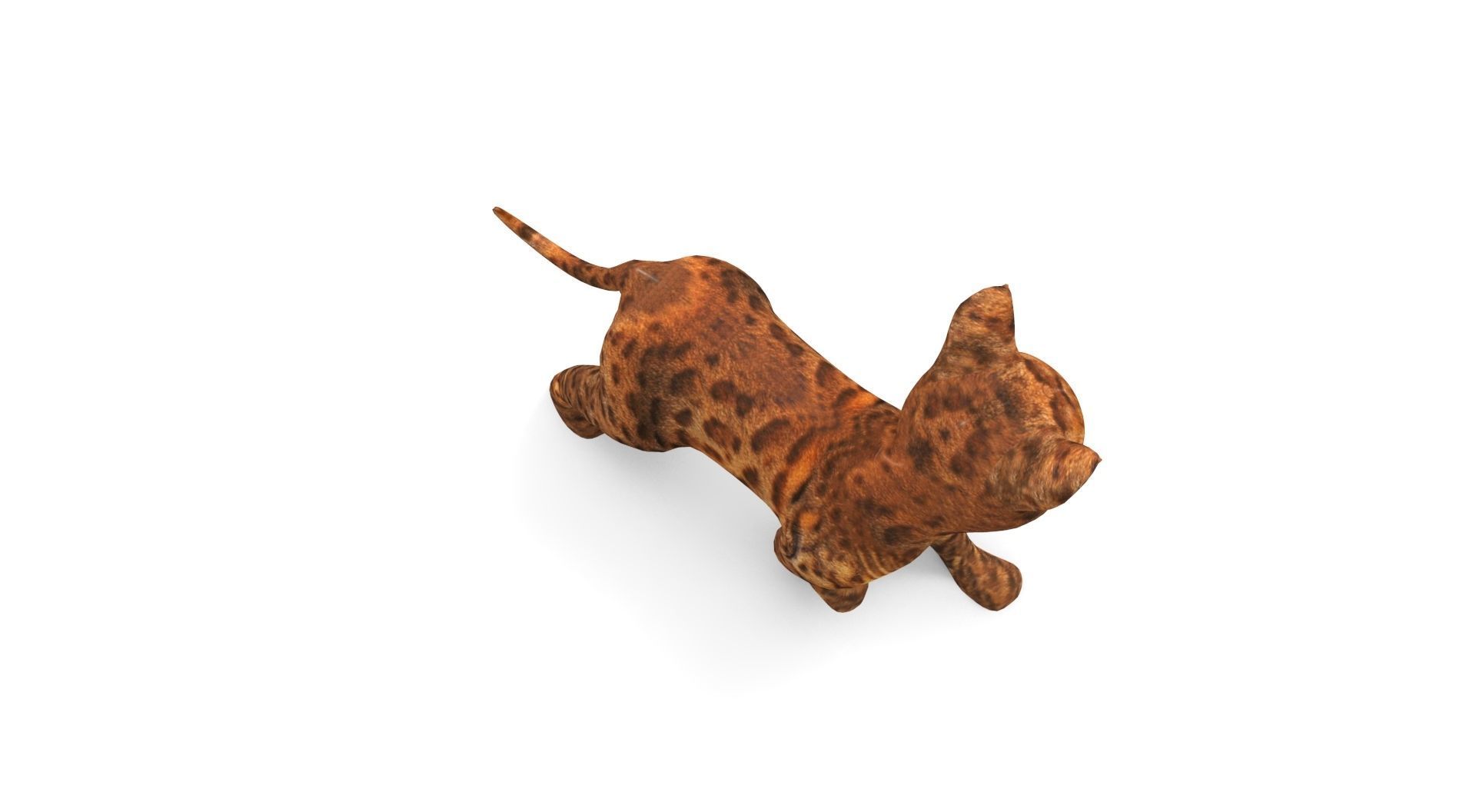 Cute Cat Rigged Low-poly 3D model_15