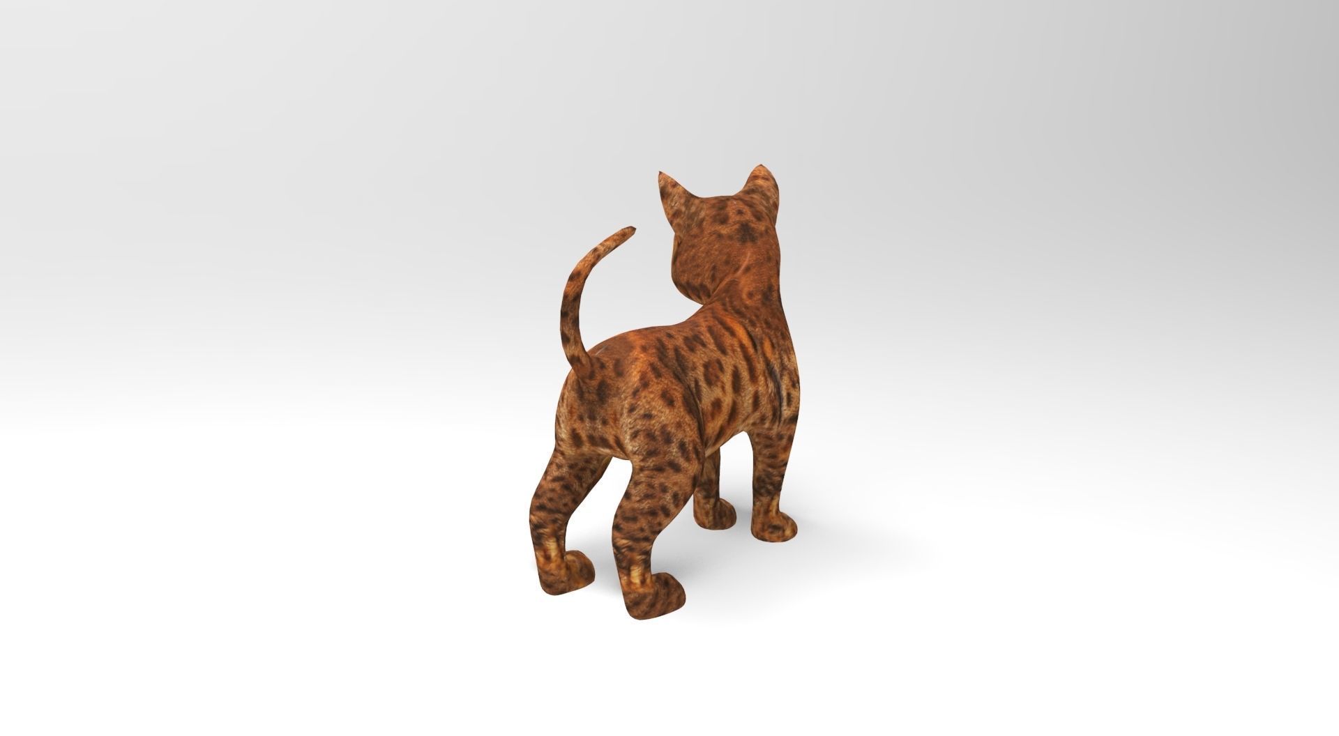 Cute Cat Rigged Low-poly 3D model_4