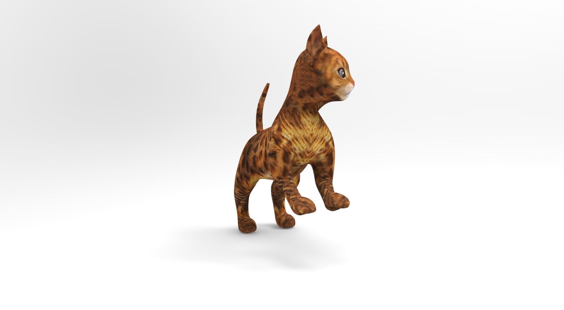 Cute Cat Rigged Low-poly 3D model_22
