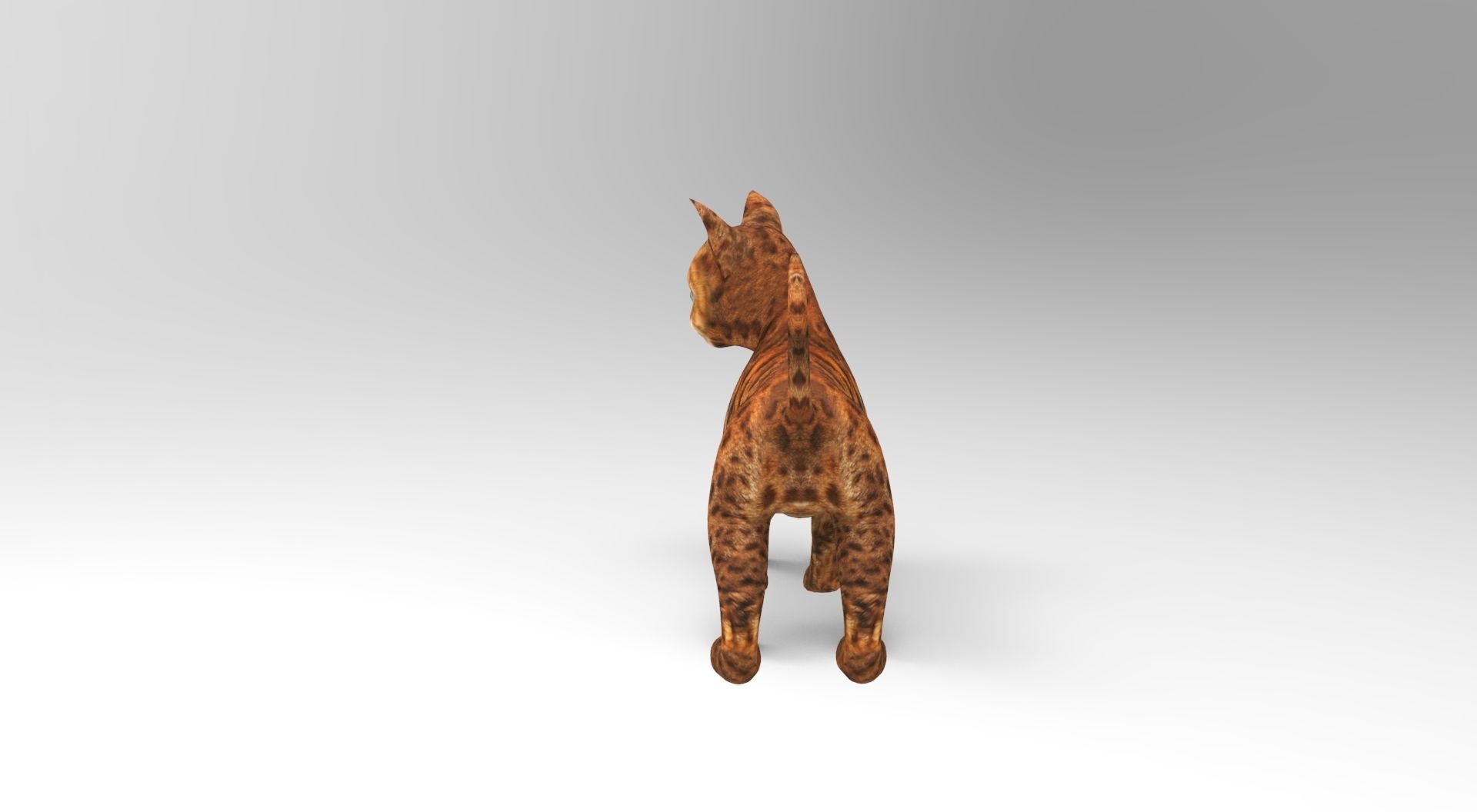 Cute Cat Rigged Low-poly 3D model_3