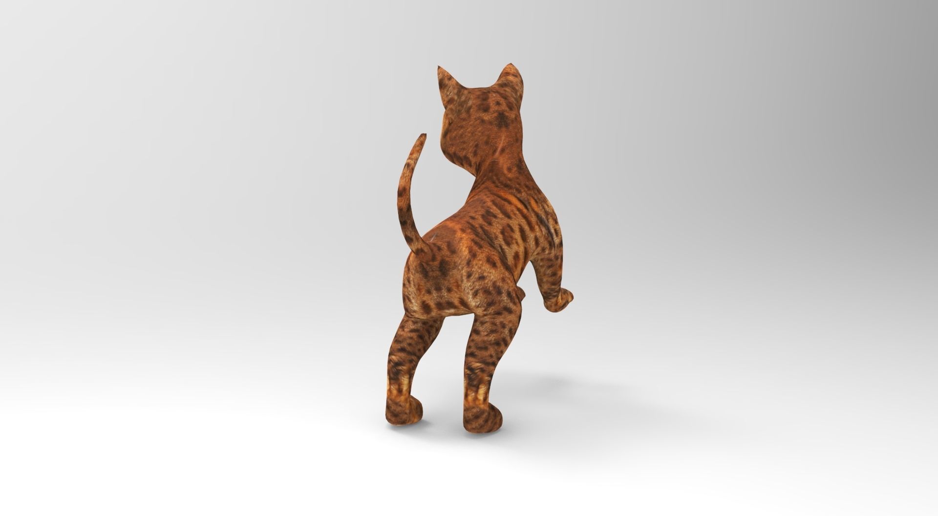 Cute Cat Rigged Low-poly 3D model_19