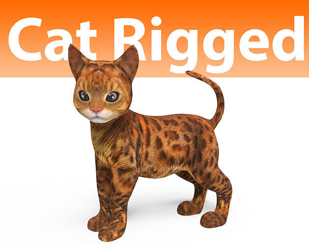 Cute Cat Rigged Low-poly 3D model