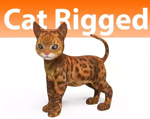 Cute Cat Rigged