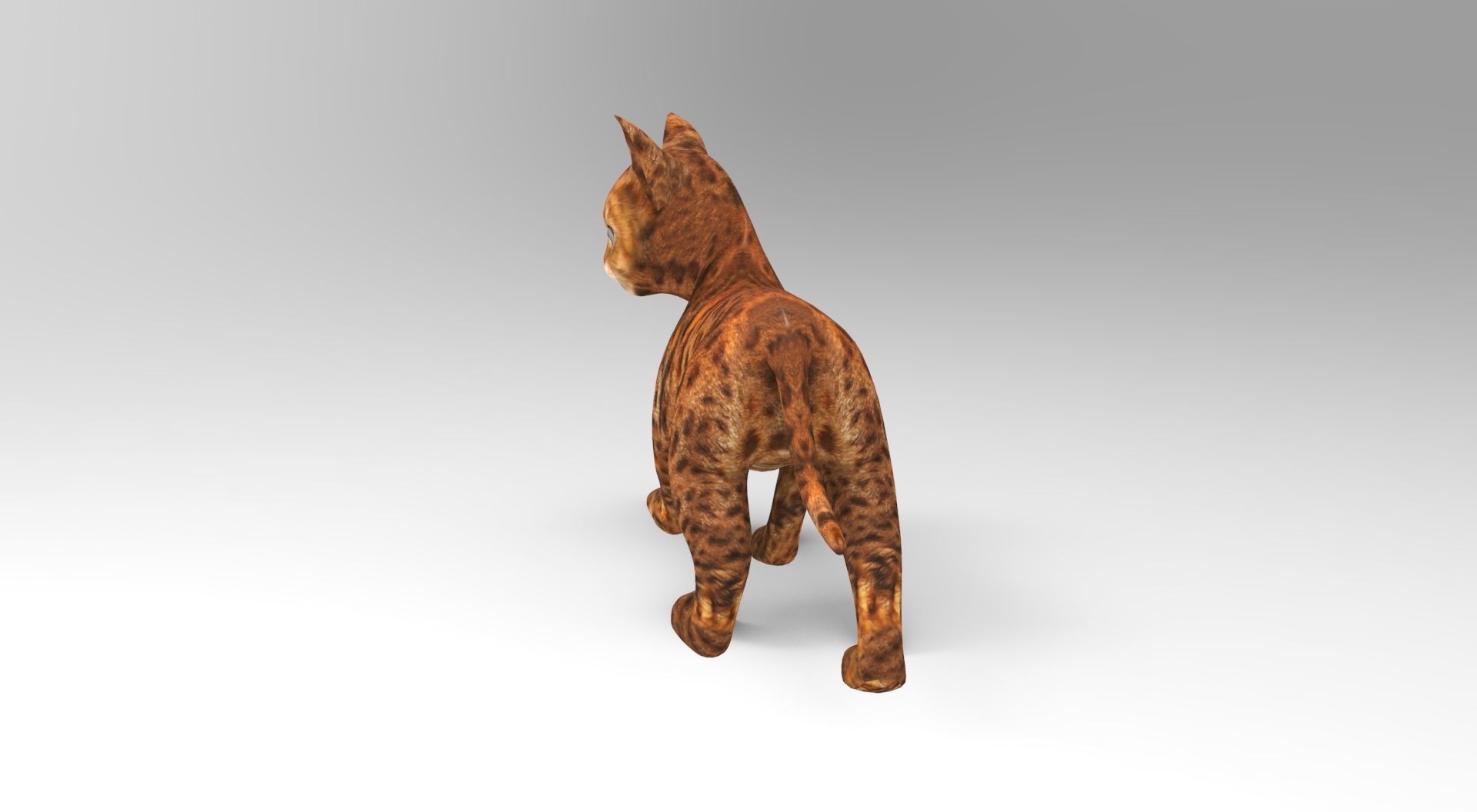 Cute Cat Rigged Low-poly 3D model_12