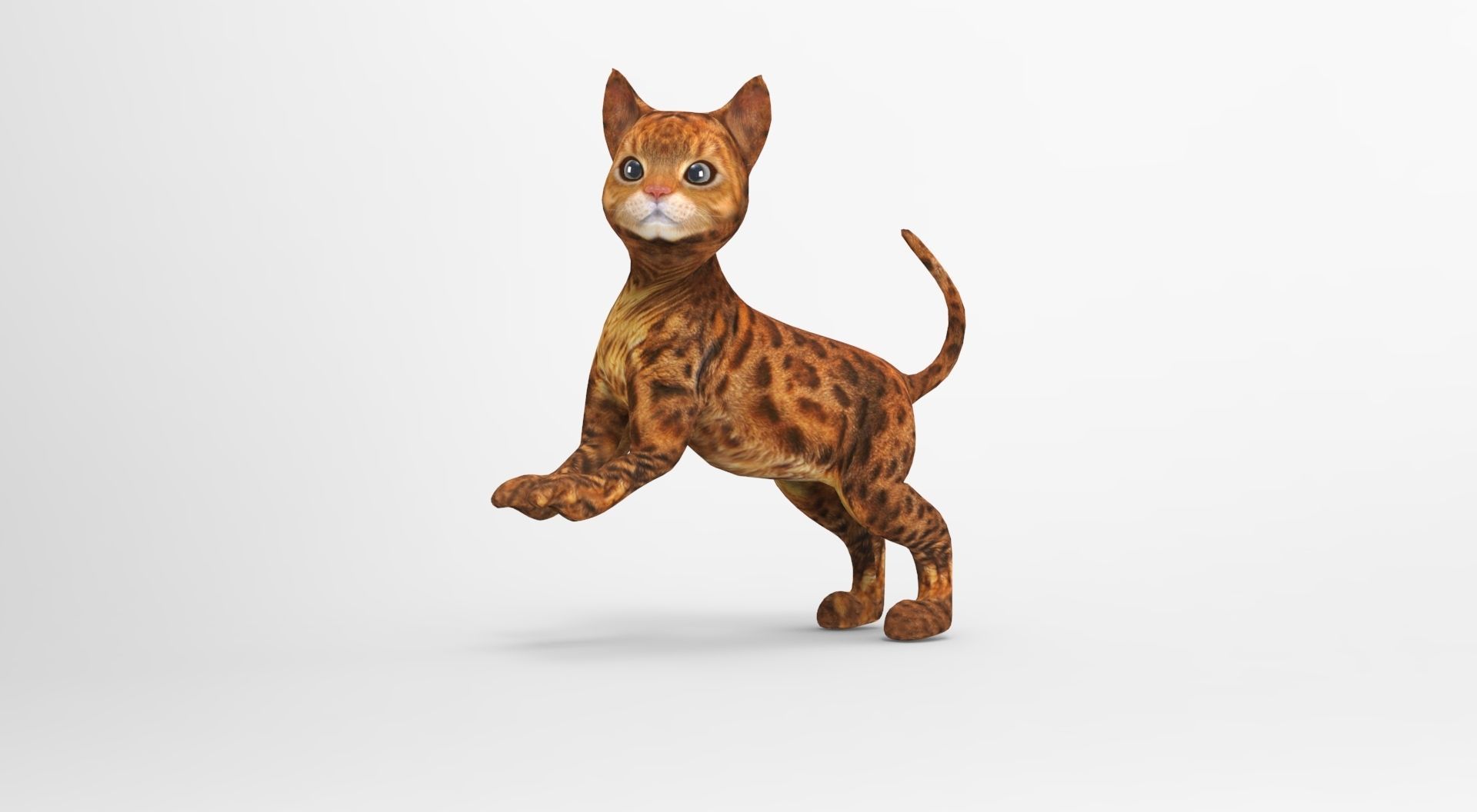 Cute Cat Rigged Low-poly 3D model_17