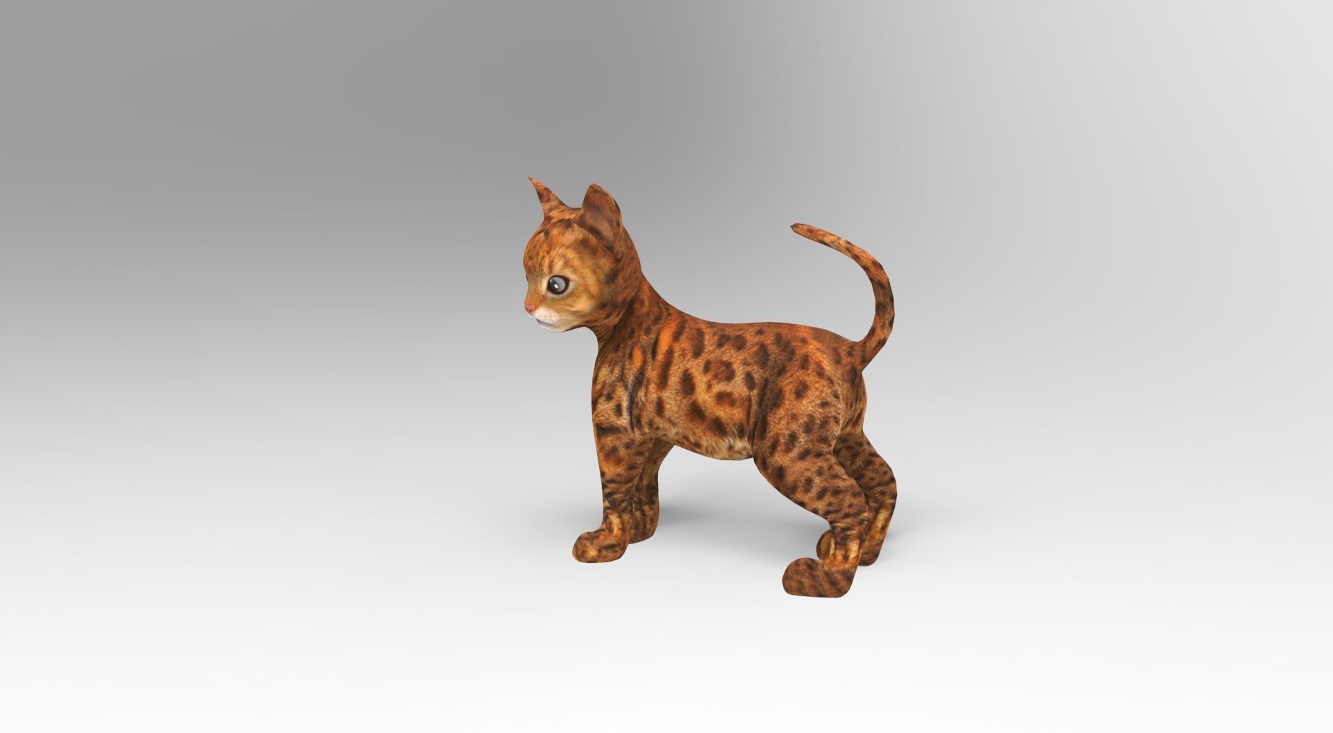 Cute Cat Rigged Low-poly 3D model_2