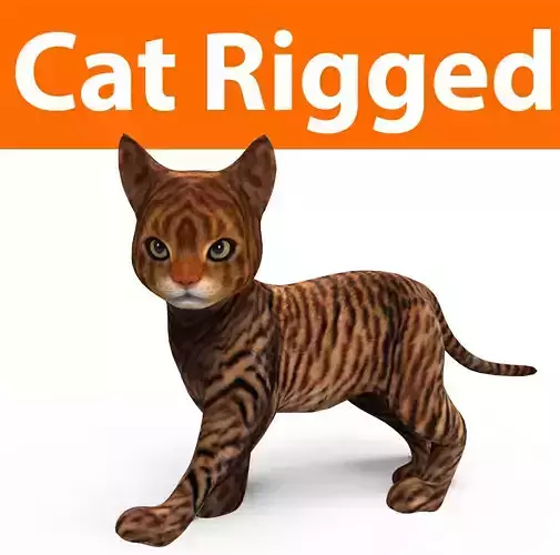 Wild Cute Cat Rigged 