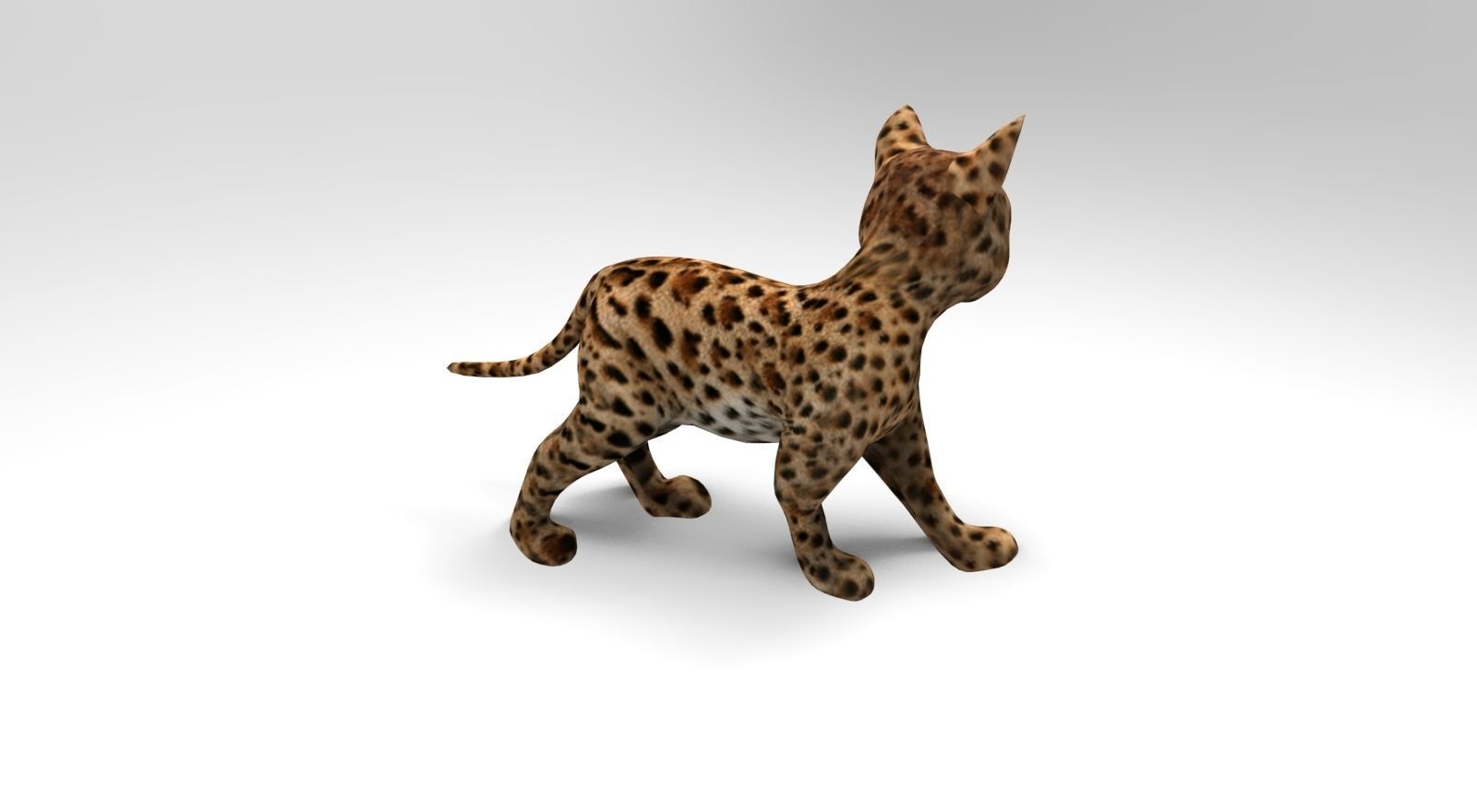 Wild Cat Rigged model Low-poly 3D model_4