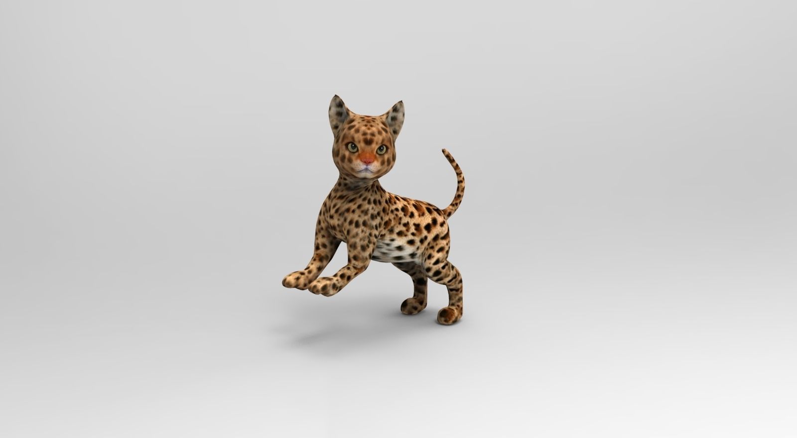 Wild Cat Rigged model Low-poly 3D model_8