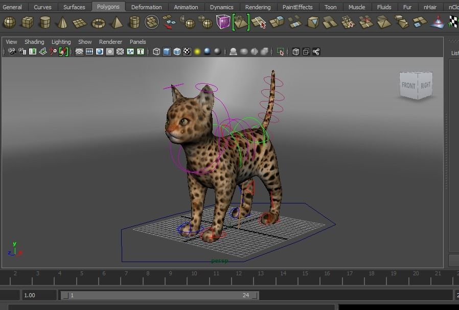 Wild Cat Rigged model Low-poly 3D model_27