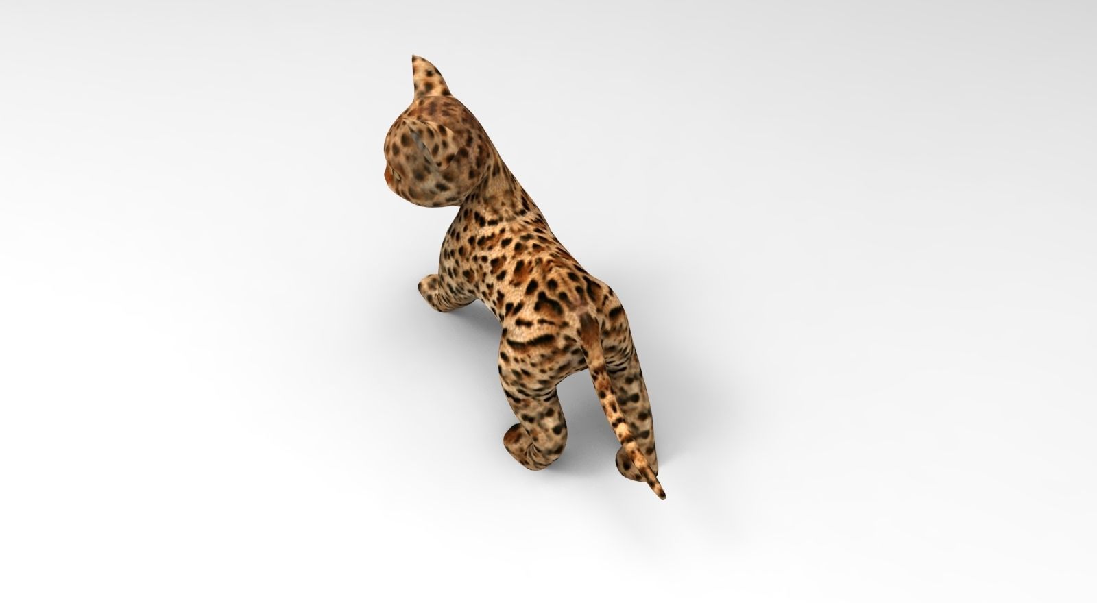 Wild Cat Rigged model Low-poly 3D model_6