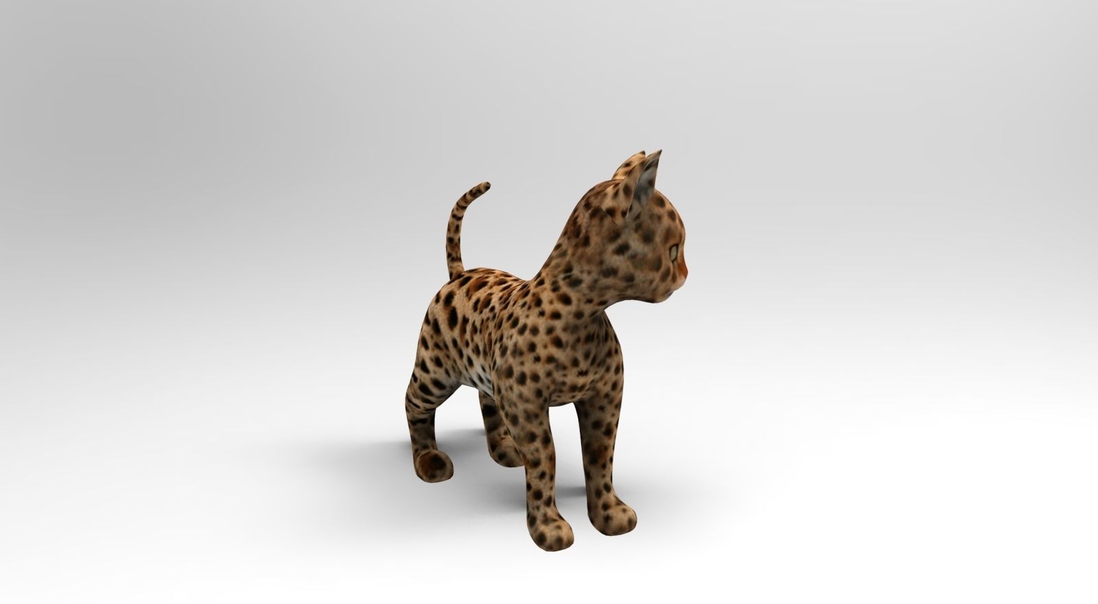 Wild Cat Rigged model Low-poly 3D model_16