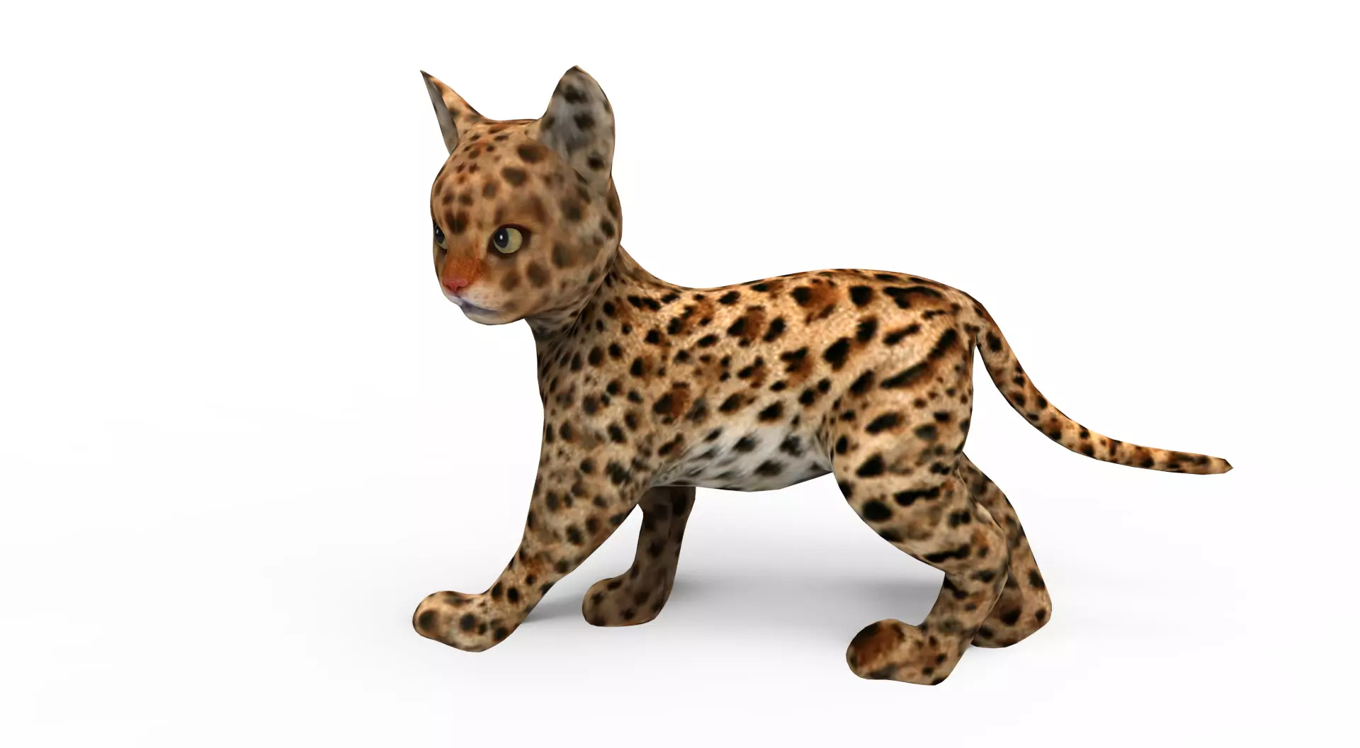 Wild Cat Rigged model Low-poly 3D model_0