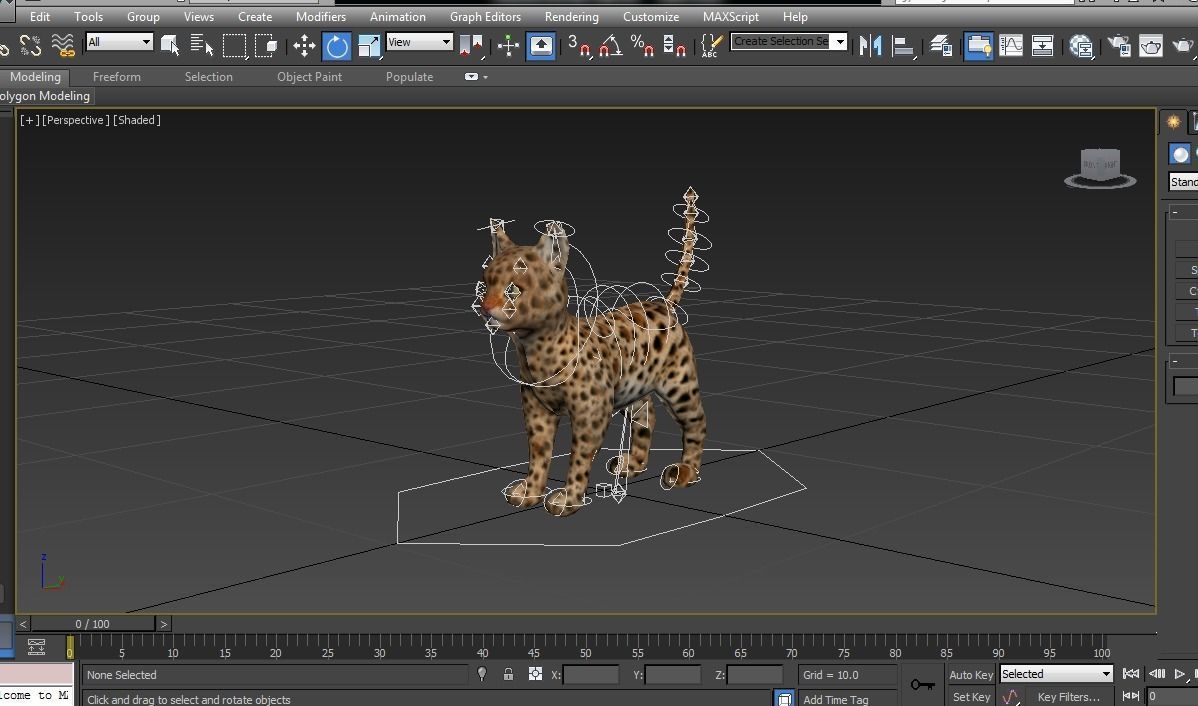 Wild Cat Rigged model Low-poly 3D model_28