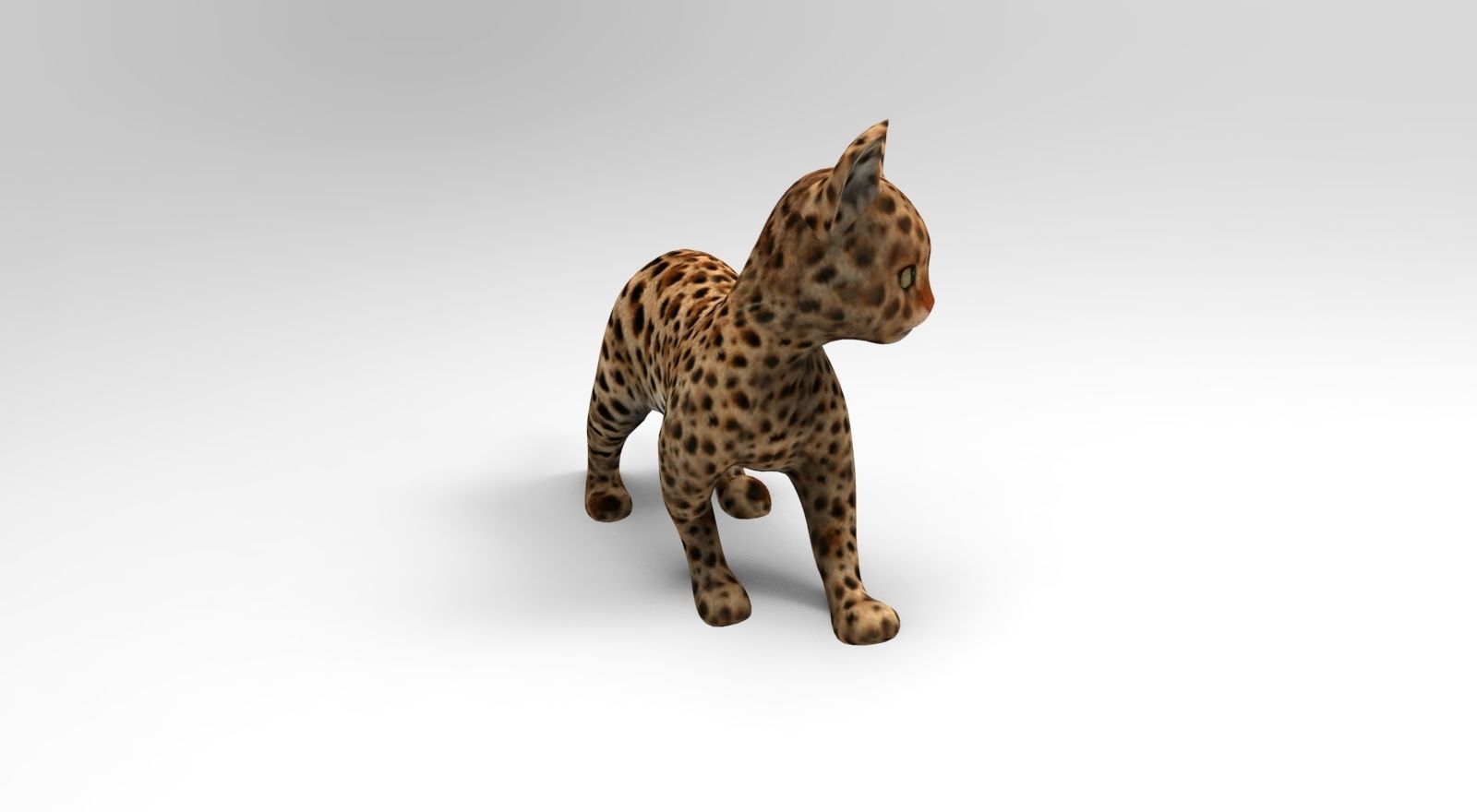 Wild Cat Rigged model Low-poly 3D model_3