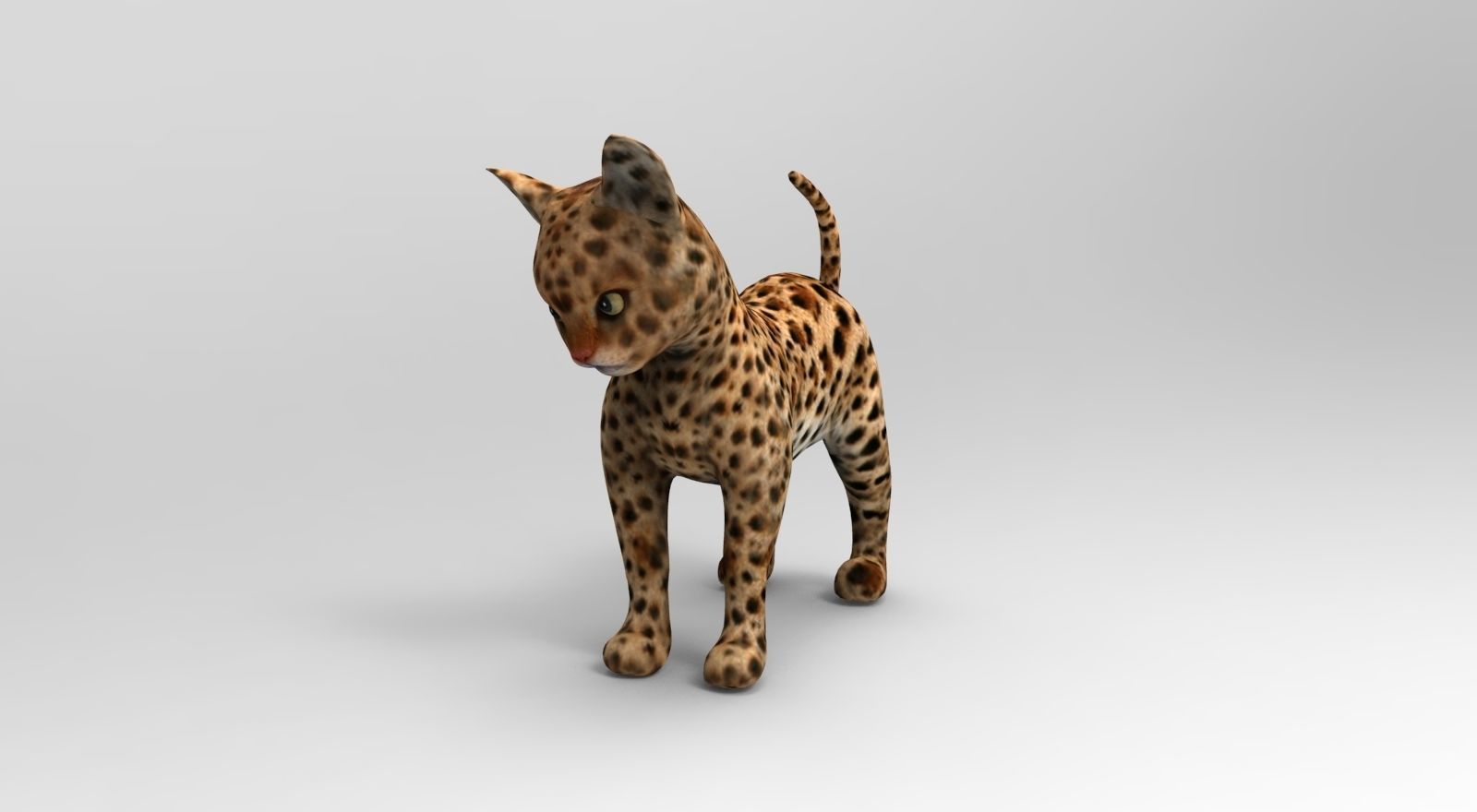 Wild Cat Rigged model Low-poly 3D model_24