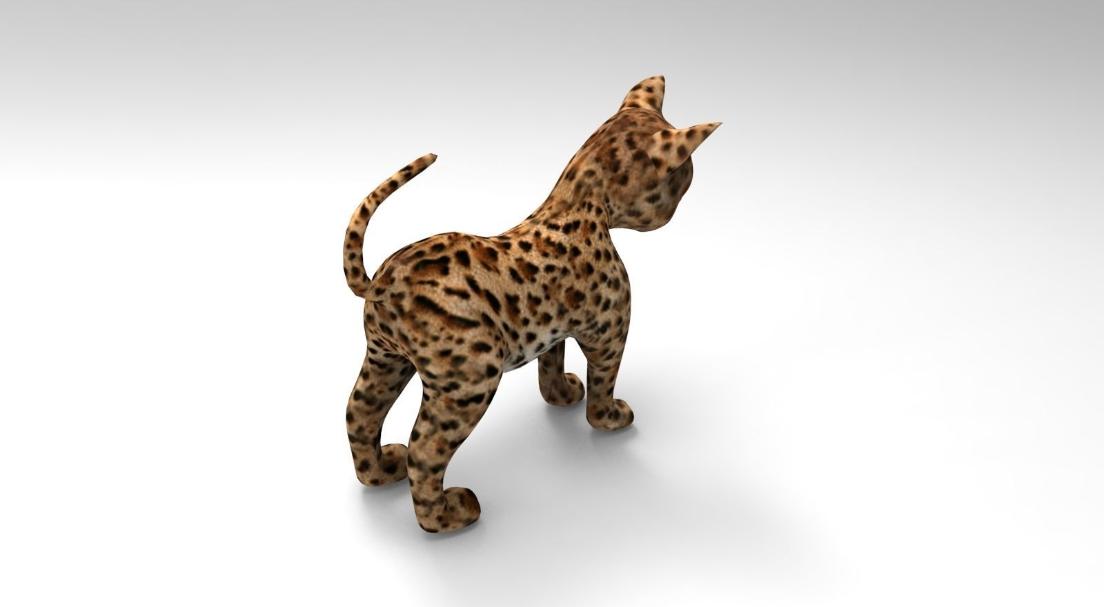Wild Cat Rigged model Low-poly 3D model_21