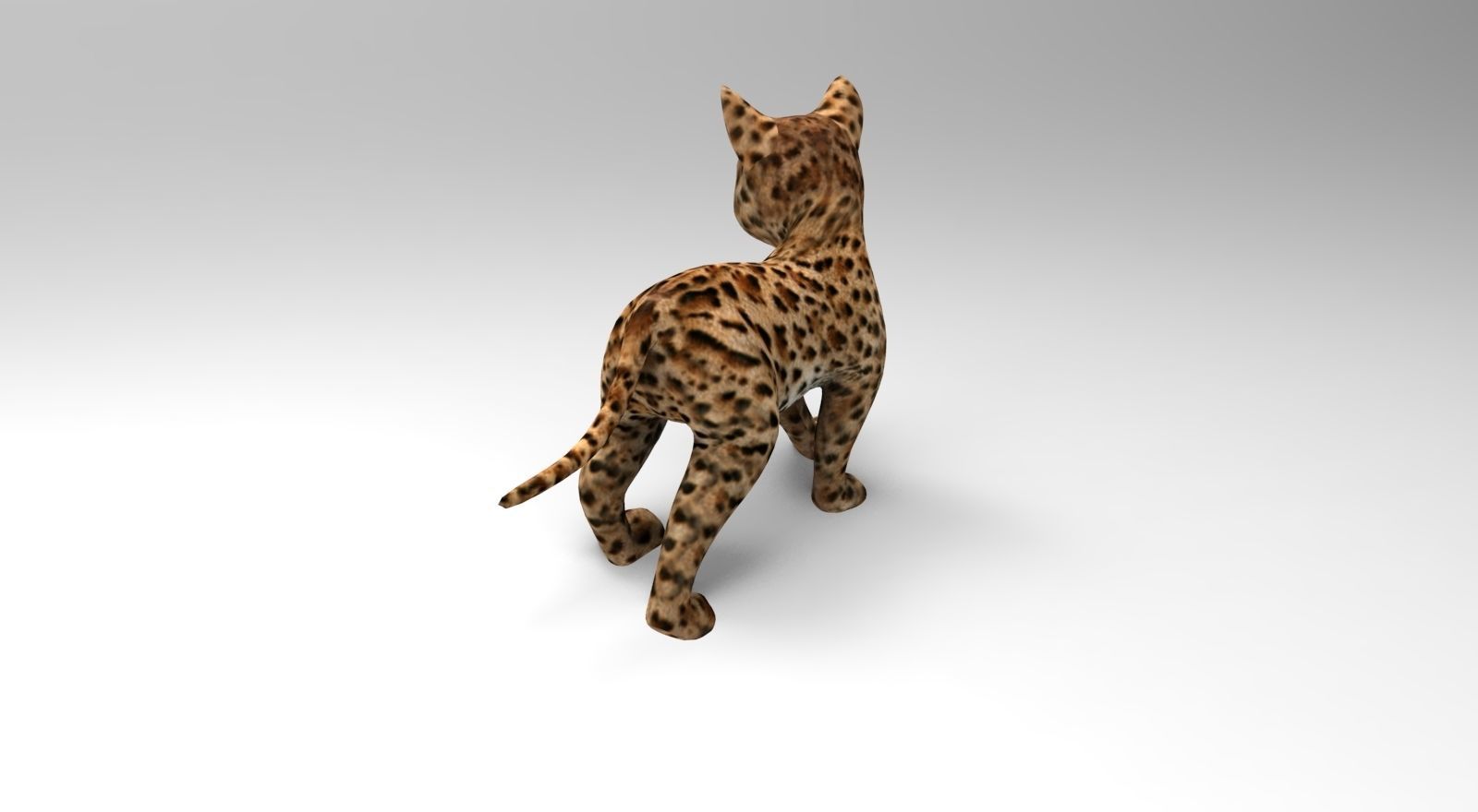 Wild Cat Rigged model Low-poly 3D model_5