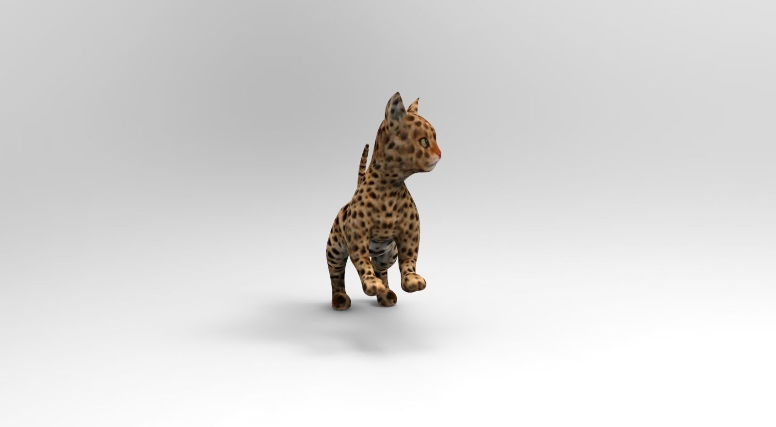 Wild Cat Rigged model Low-poly 3D model_9
