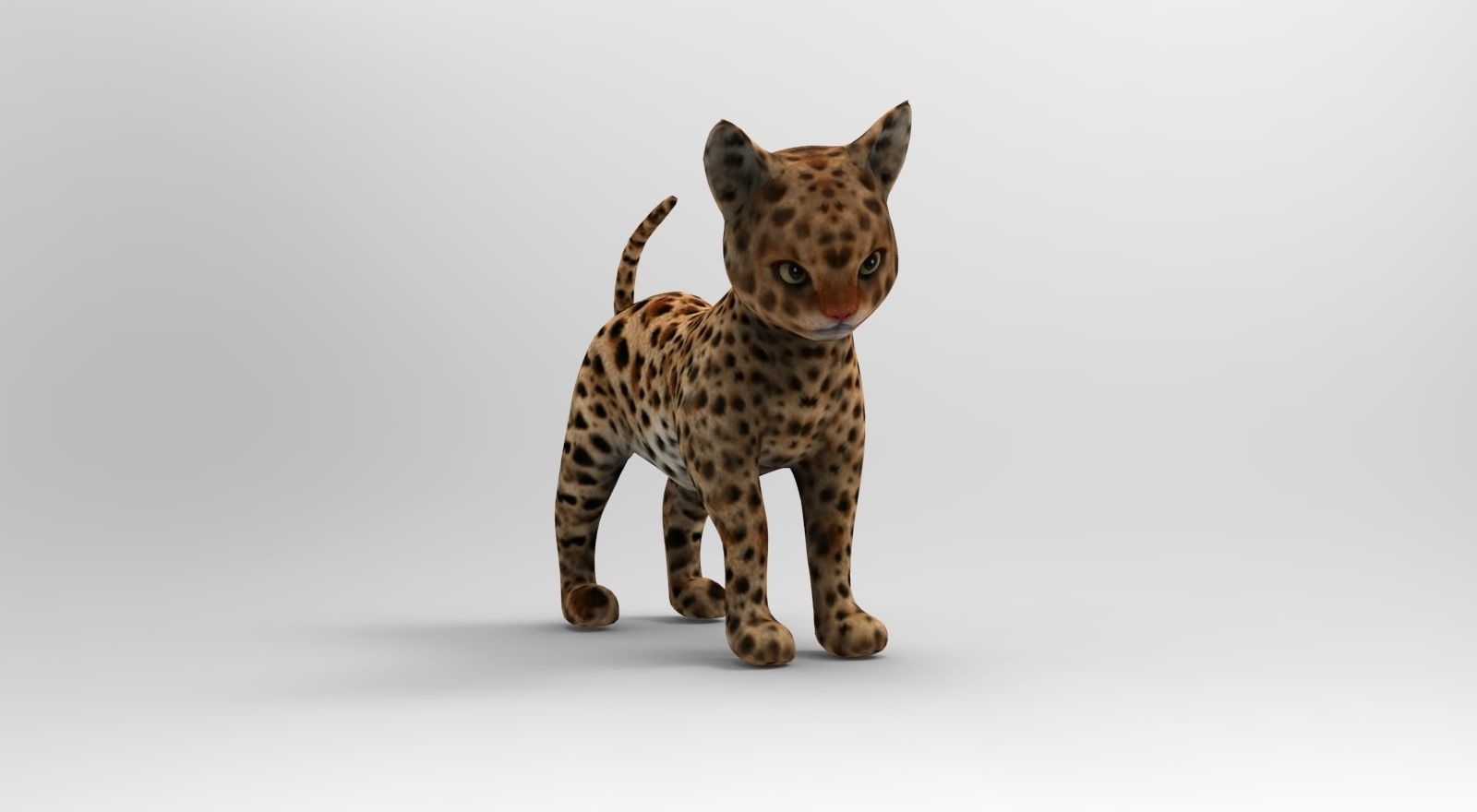 Wild Cat Rigged model Low-poly 3D model_19
