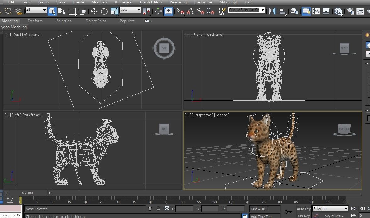Wild Cat Rigged model Low-poly 3D model_25