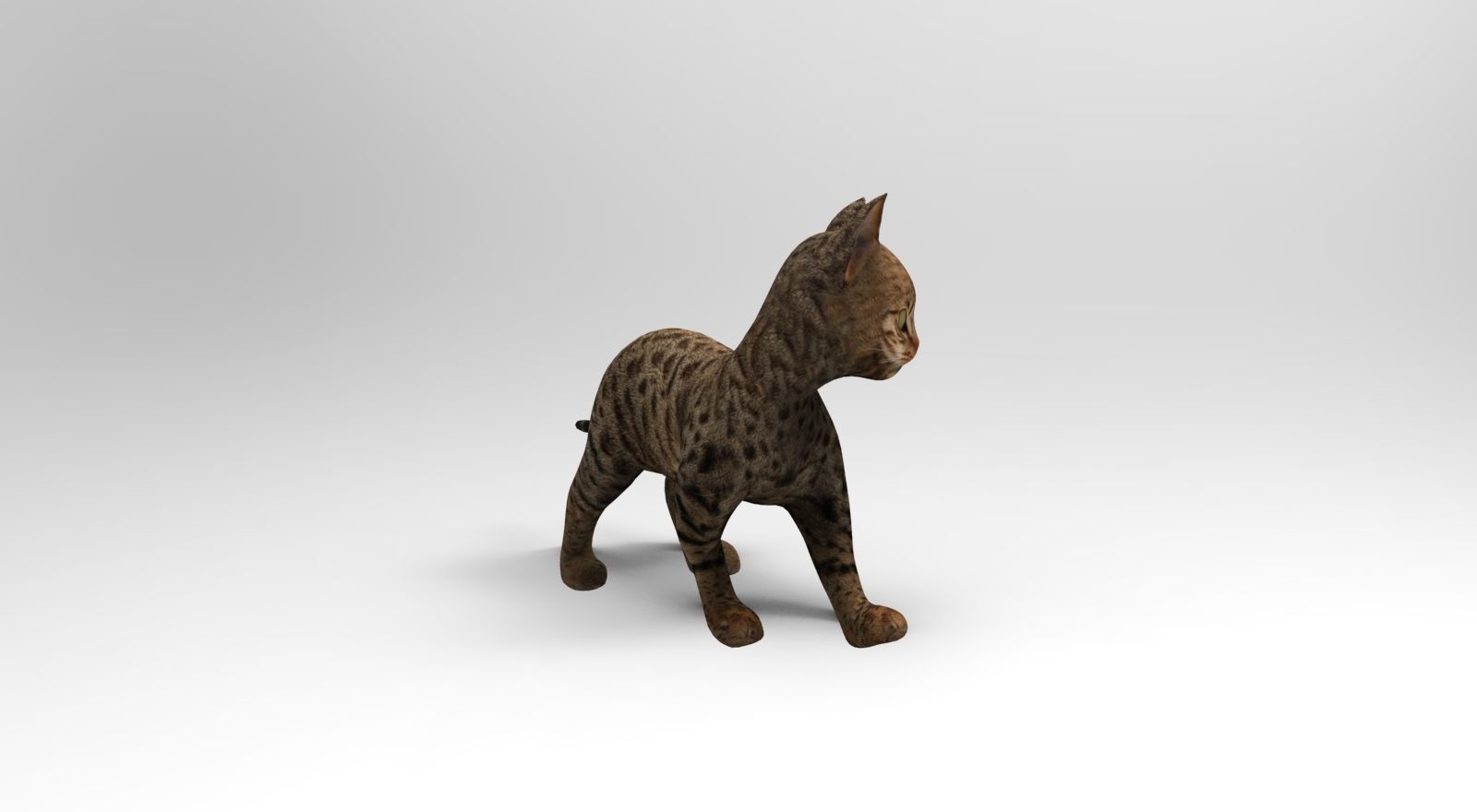 Cute Cat Rigged Low-poly 3D model_7