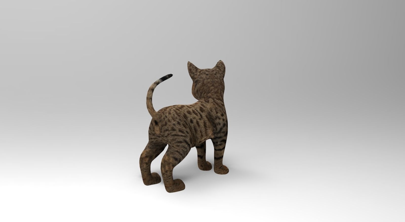Cute Cat Rigged Low-poly 3D model_12