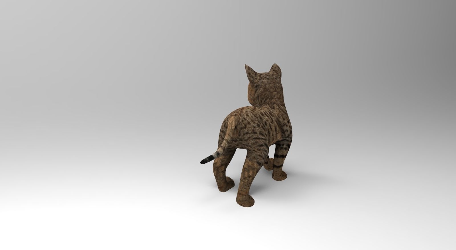 Cute Cat Rigged Low-poly 3D model_4