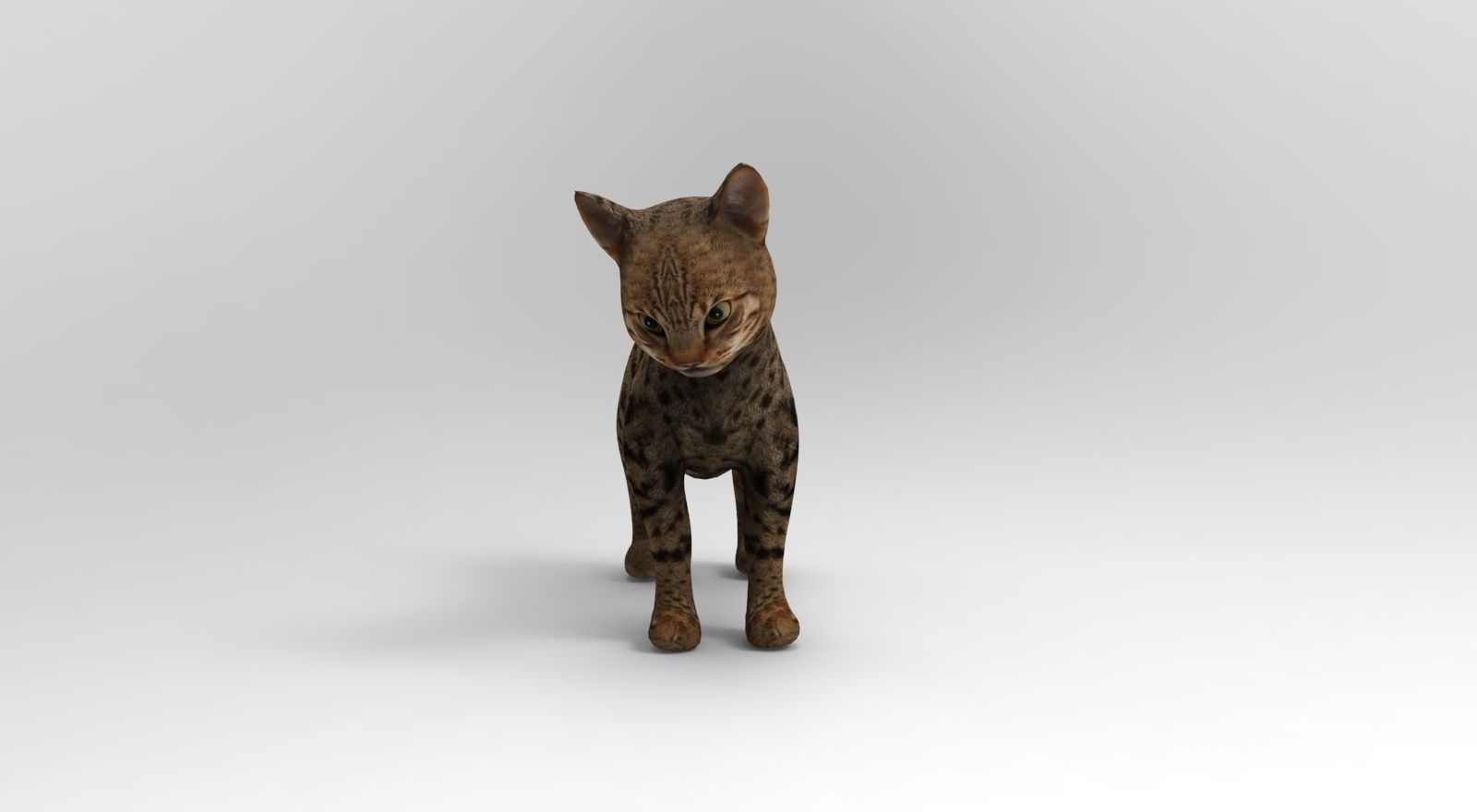 Cute Cat Rigged Low-poly 3D model_19
