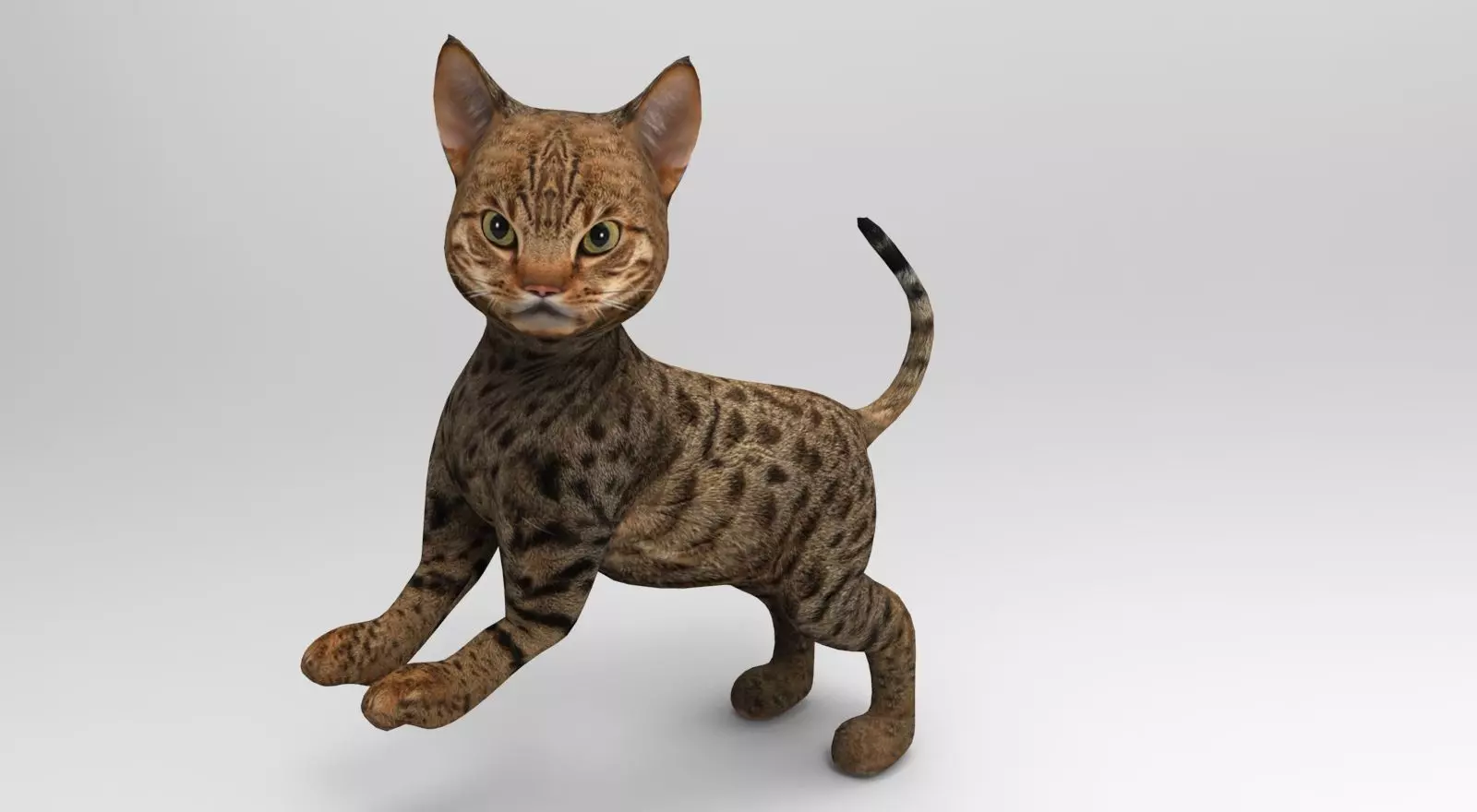 Cute Cat Rigged Low-poly 3D model_0
