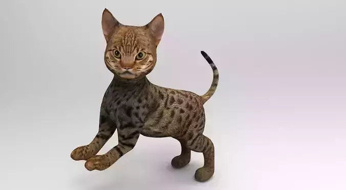 Cute Cat Rigged