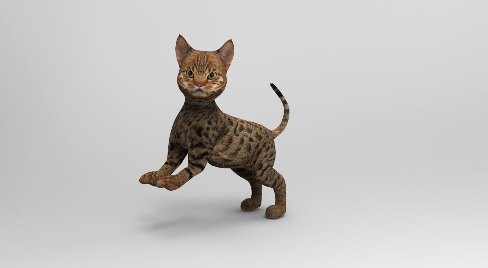 Cute Cat Rigged Low-poly 3D model_21