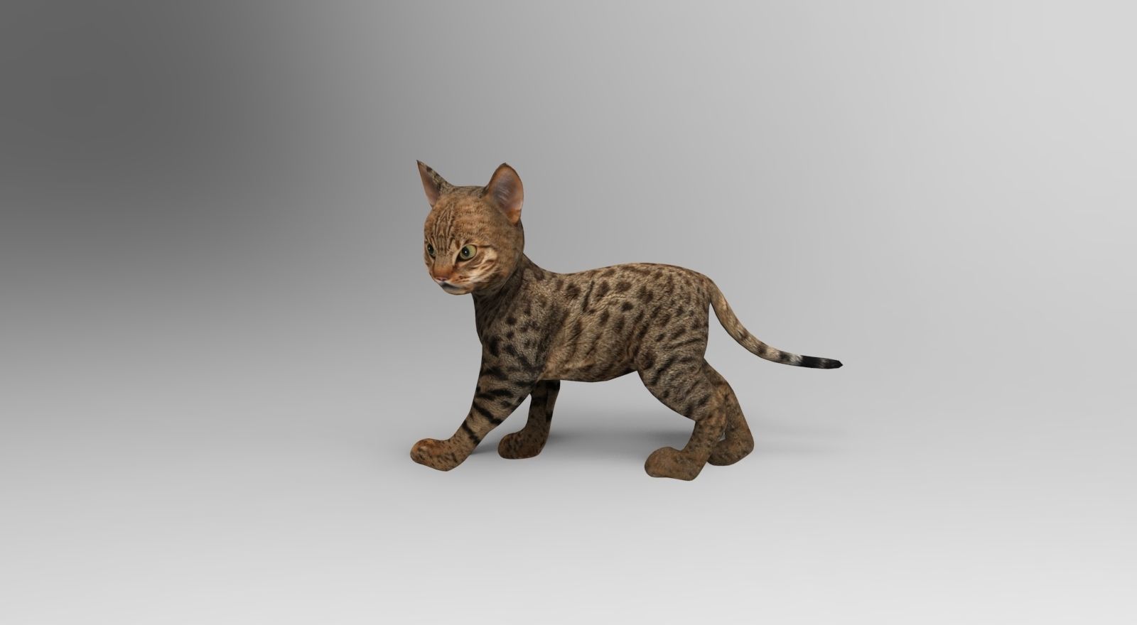 Cute Cat Rigged Low-poly 3D model_2