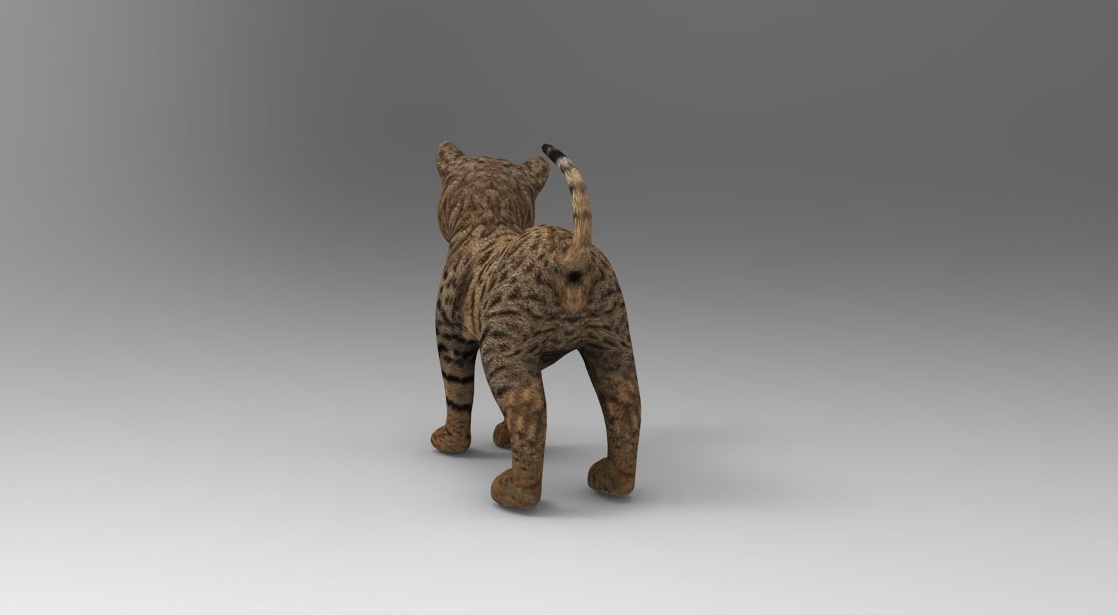 Cute Cat Rigged Low-poly 3D model_15