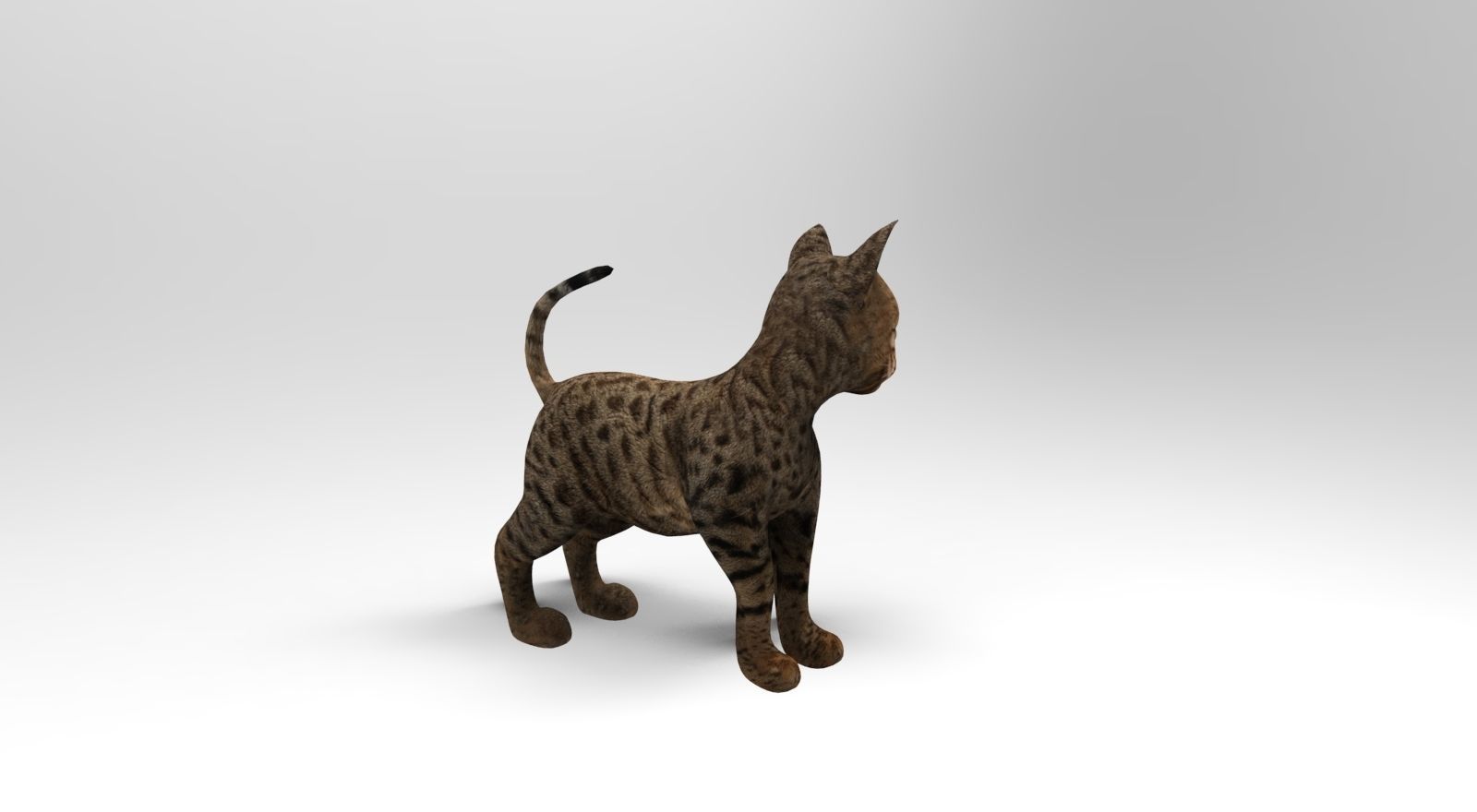Cute Cat Rigged Low-poly 3D model_13