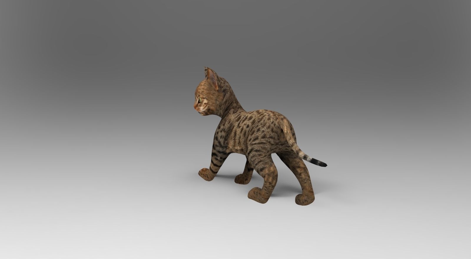 Cute Cat Rigged Low-poly 3D model_3
