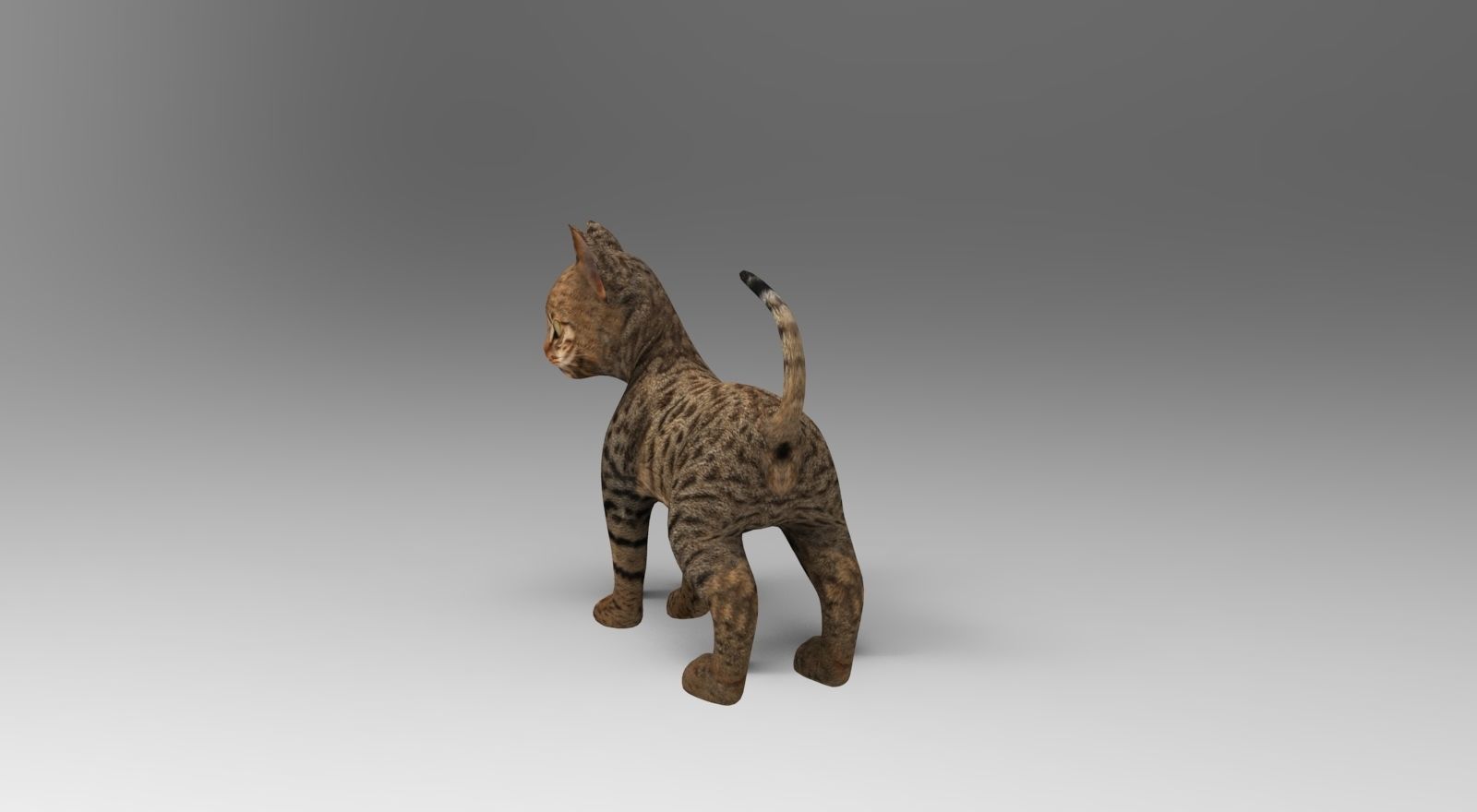 Cute Cat Rigged Low-poly 3D model_11