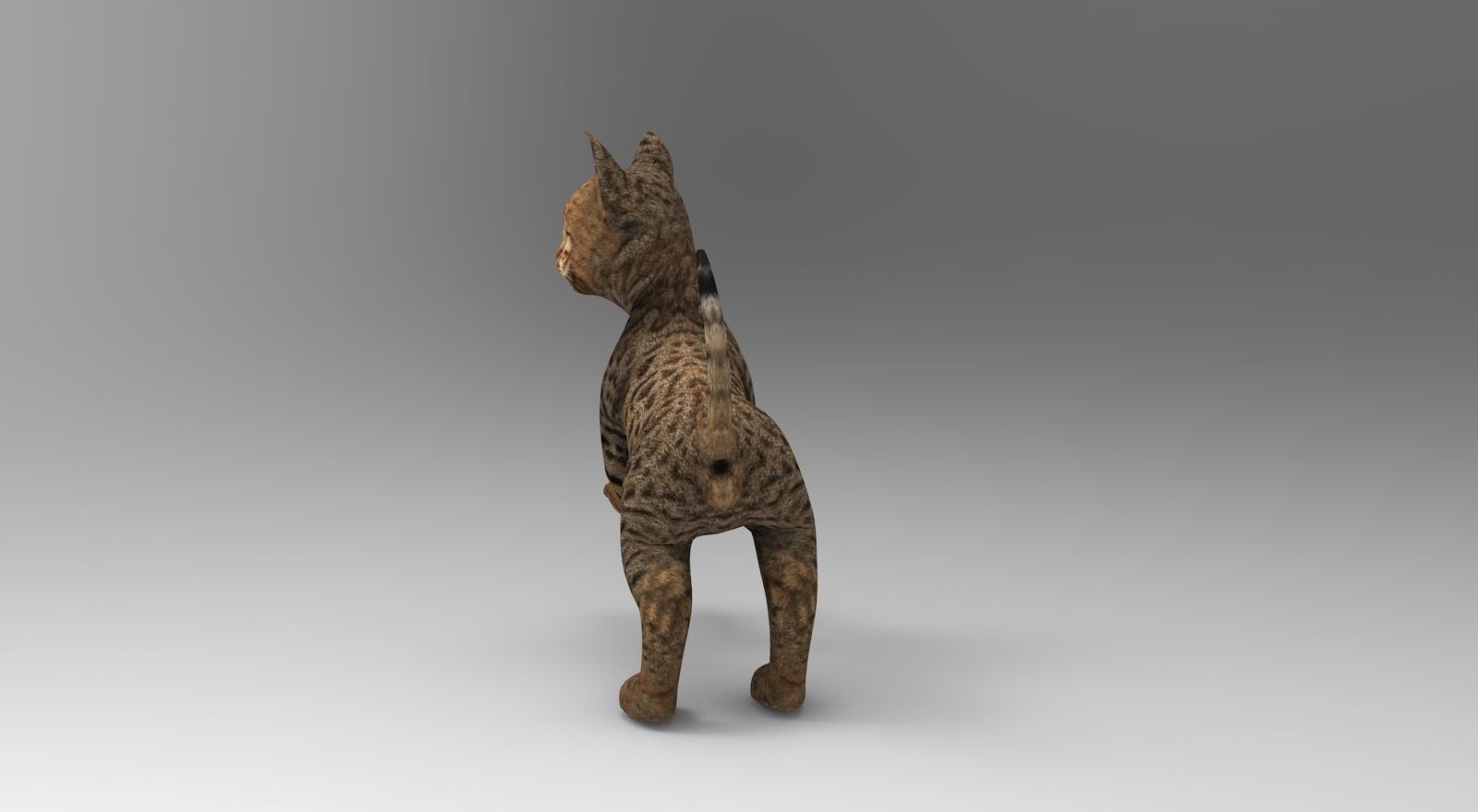 Cute Cat Rigged Low-poly 3D model_22