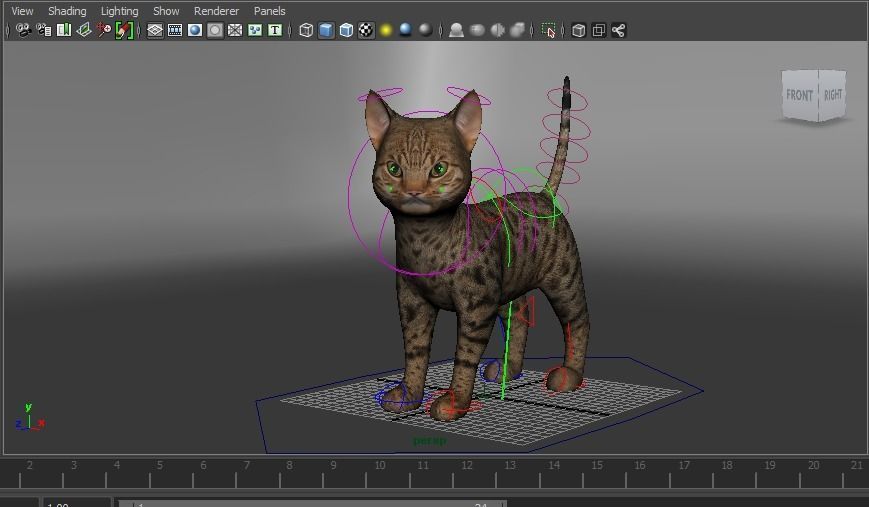 Cute Cat Rigged Low-poly 3D model_31