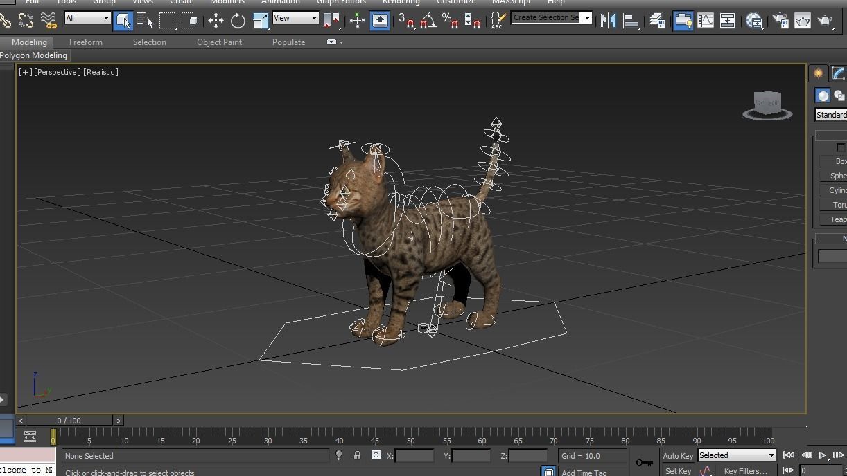Cute Cat Rigged Low-poly 3D model_30