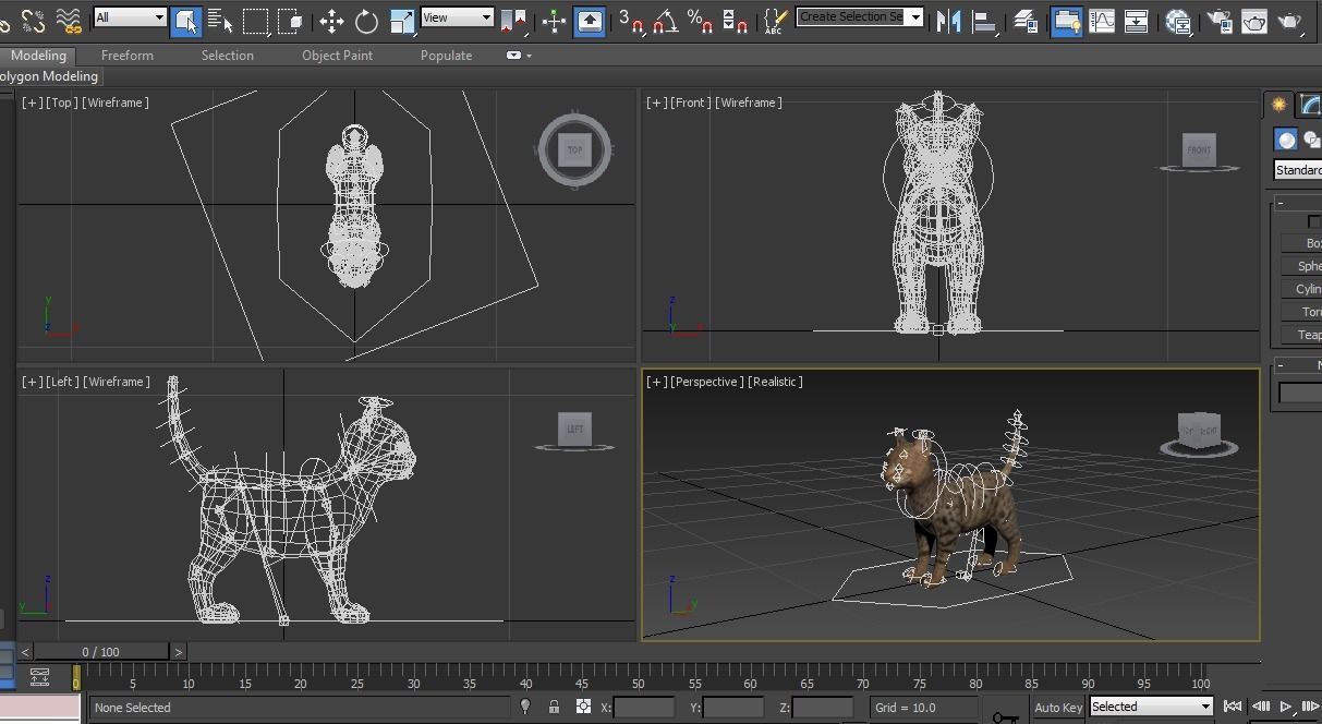 Cute Cat Rigged Low-poly 3D model_28