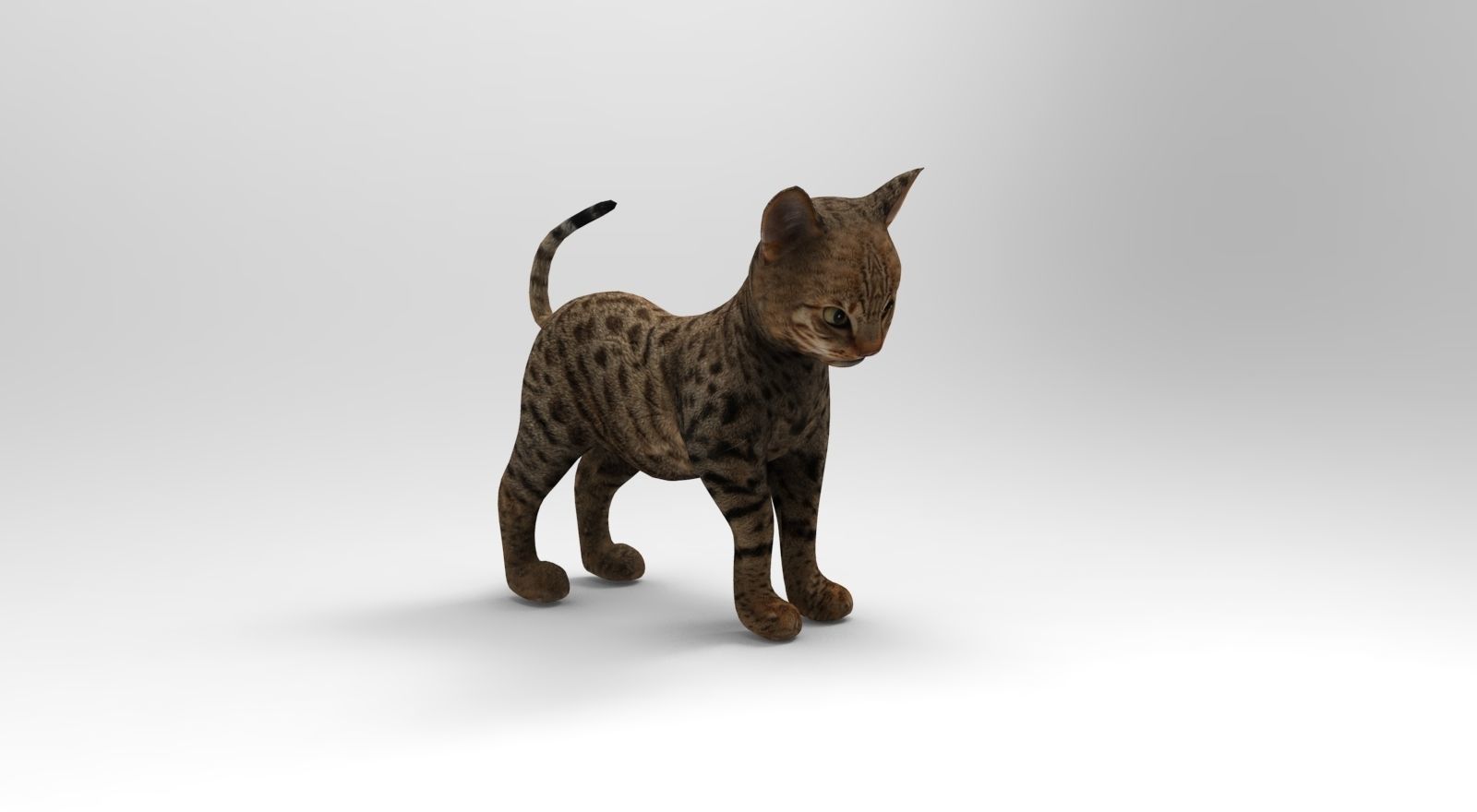 Cute Cat Rigged Low-poly 3D model_16